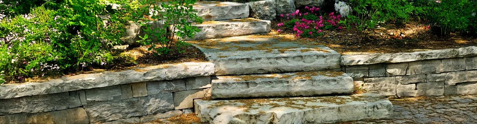 Steps