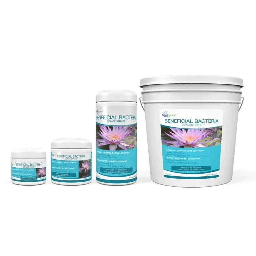Beneficial bacteria for ponds dry powder with 3 billion CFU, reduces sludge and improves water quality