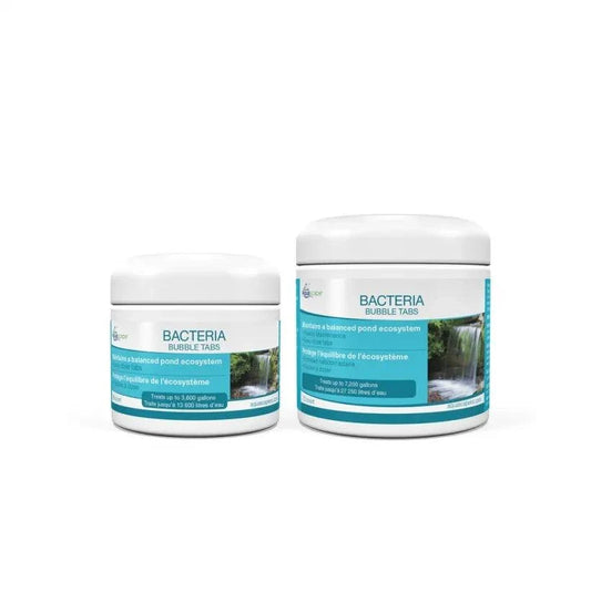 Bacteria Bubble Tabs packaging with pricing and pond care benefits