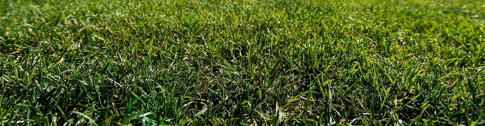 Silverthorn Landscape Supplies