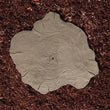 Borealis Stepping Stone textured like weathered wood in a garden pathway