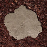 Borealis Stepping Stone textured like weathered wood in a garden pathway
