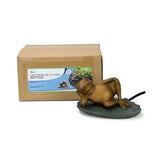 Lazy Frog on Lily Pad pond spitter made of polyresin with brass finish