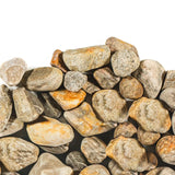 Multi-Coloured Granite Rock