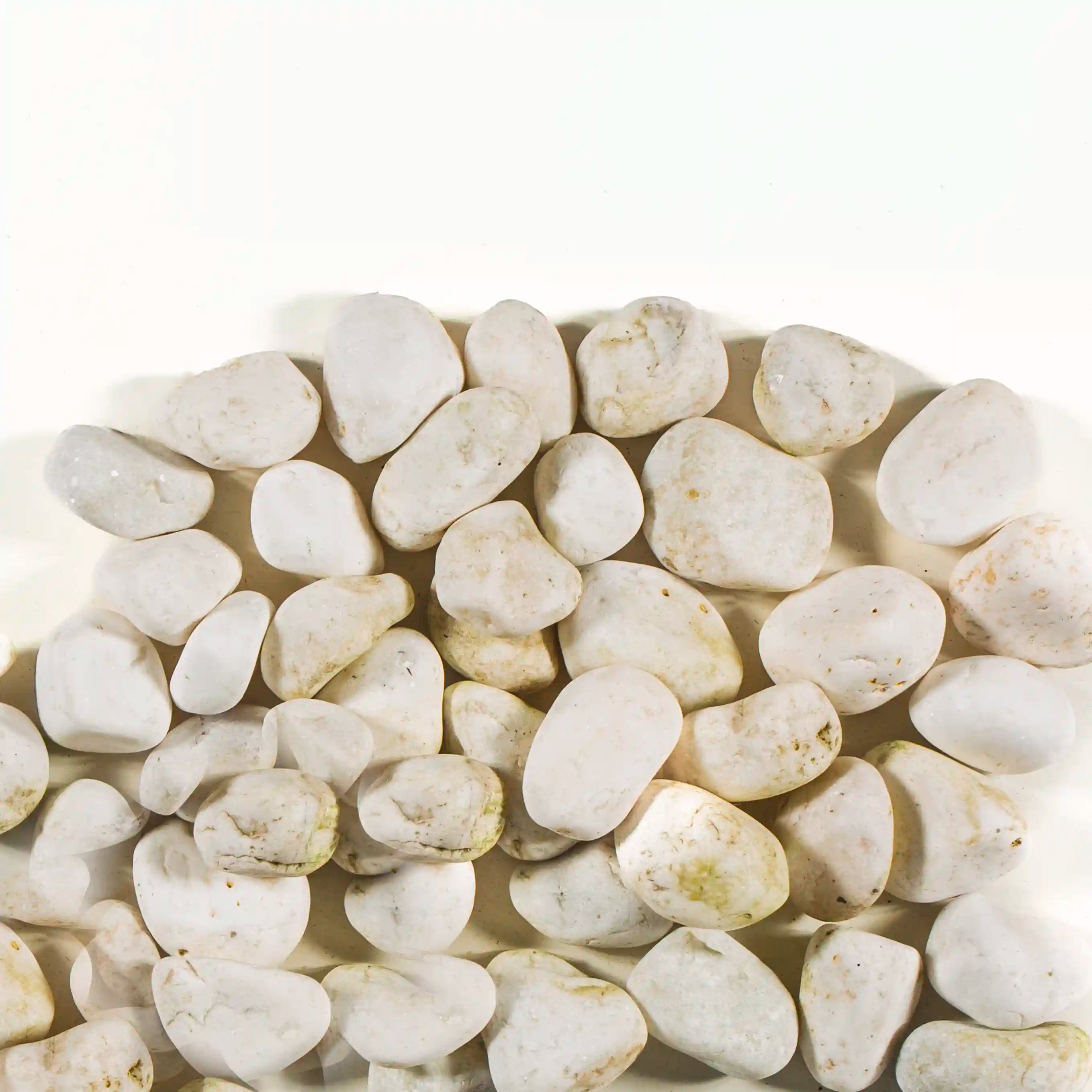 Ornate White Pebbles