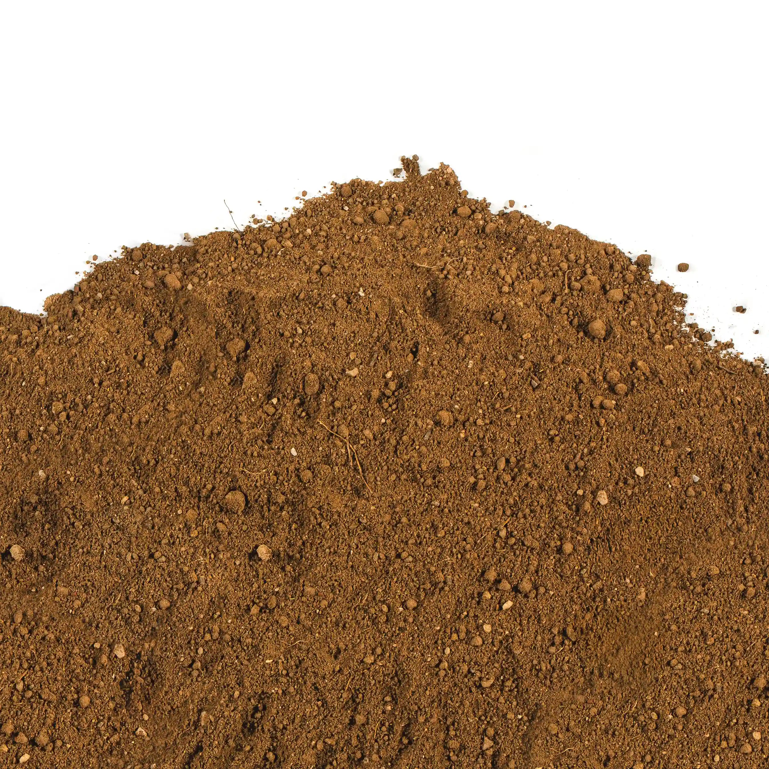 Regular Soil
