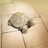 Small Tortoise Statue weather-resistant garden decor with lifelike design