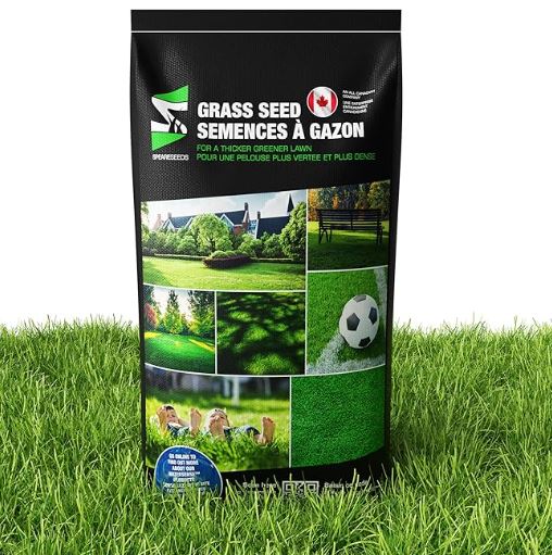 Overseeding mixture with 50% certified perennial ryegrass and 50% turf type perennial ryegrass, seeding rate 4 lbs per 1000 sq ft