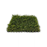 Pro-Trade Apple Light Synthetic Turf 50 oz.