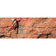 Rustic Red stone with moss-like features for garden accenting