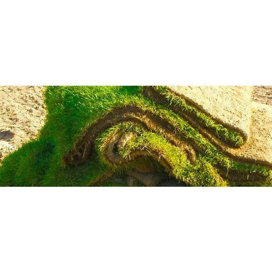 Fresh premium sod rolls for instant lawn transformation, 10 sq ft coverage, seasonal availability, local and ready to install